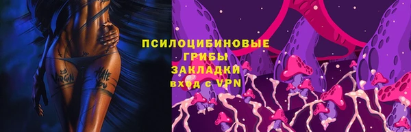 гидра Медногорск