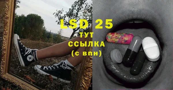 шишки Саяногорск