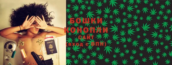 гидра Медногорск