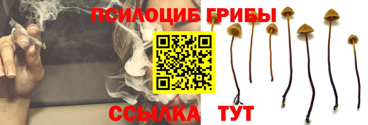 Псилоцибиновые грибы Magic Shrooms  Чапаевск 